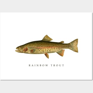 Rainbow Trout Posters and Art